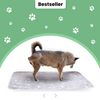 PawComfort - Die beste Alternative zu Einweg-Pads
